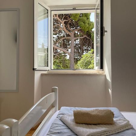 Tree Apartment Dubrovnik Exterior foto