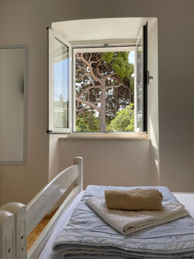 Tree Apartment Dubrovnik Exterior foto